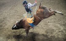 6. Bull Riding