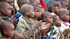 Image: picture alliance/WILDLIFE