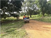 The small vehicle was loaded with full rubbish bags. (Picture: Zoe Geissler)