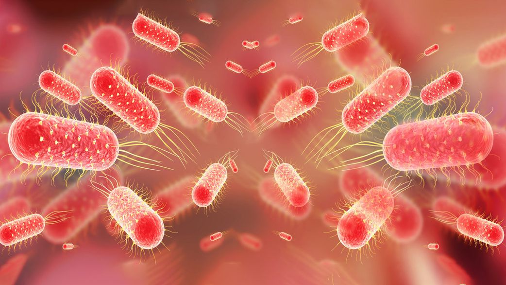 4 stages of typhoid fever: Symptoms and progression explained