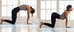 10 beginner-friendly yoga poses that’ll leave you feeling calm and recharged