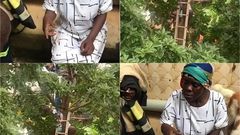 A/R: Woman dramatically rescued from avocado tree amid witchcraft fears
