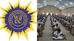 WAEC finally releases provisional 2024 WASSCE Results, withholds results of 319 schools