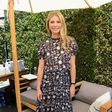 ___9065007___2018___11___2___23___gwyneth-paltrow-attends-the-in-goop-health-summit-at-3labs-news-photo-970628000-1541180240