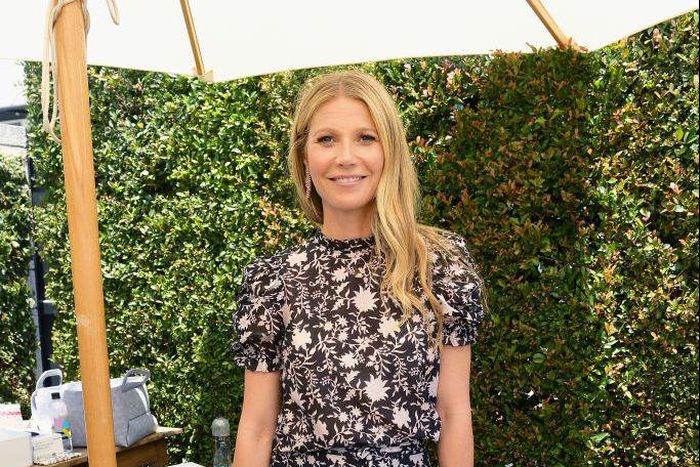 ___9065007___2018___11___2___23___gwyneth-paltrow-attends-the-in-goop-health-summit-at-3labs-news-photo-970628000-1541180240