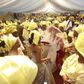 7 things unique to Yoruba weddings