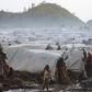 10 poorest countries in the world