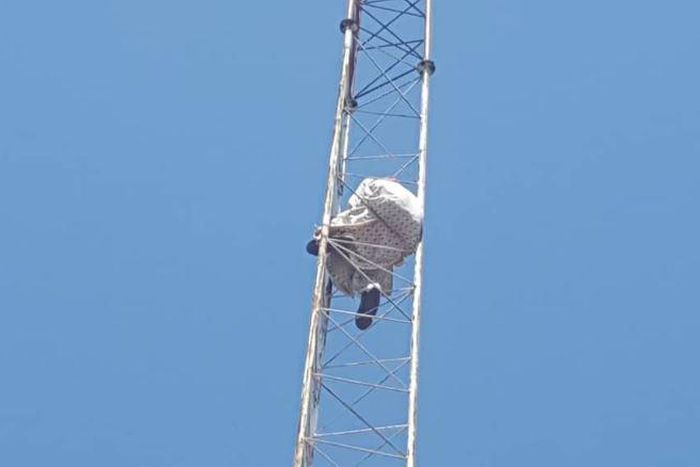 ___9096154___2018___11___12___14___Mast