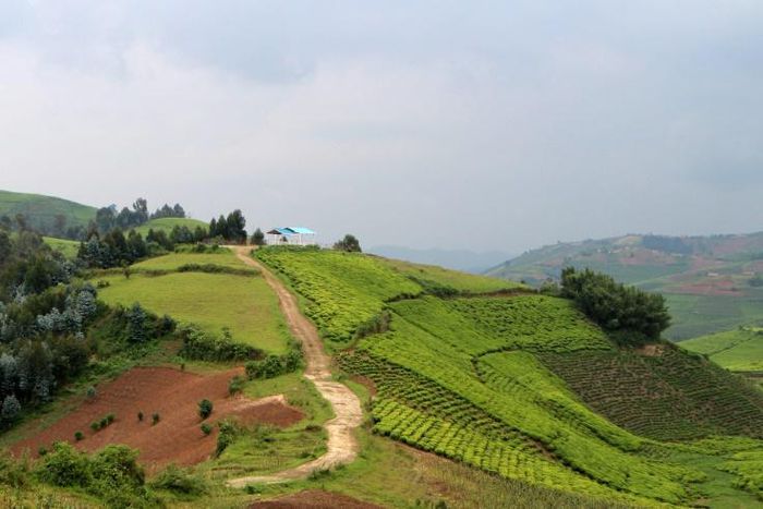 A victims' memorial on Kesho Hill in the former prefecture of Gisenyi, where more than 1,400 Tutsi were massacred between April and May 1994