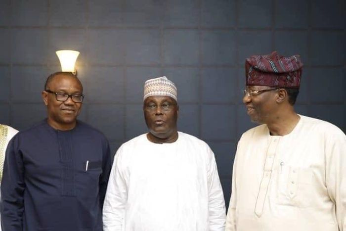 Atiku settles for Peter Obi as running mate