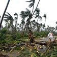 Indian women collect coconuts after heavy winds brought by Cyclone Titli, as humanitarians warned that the number of climate-related disasters around the world is growing rapidly