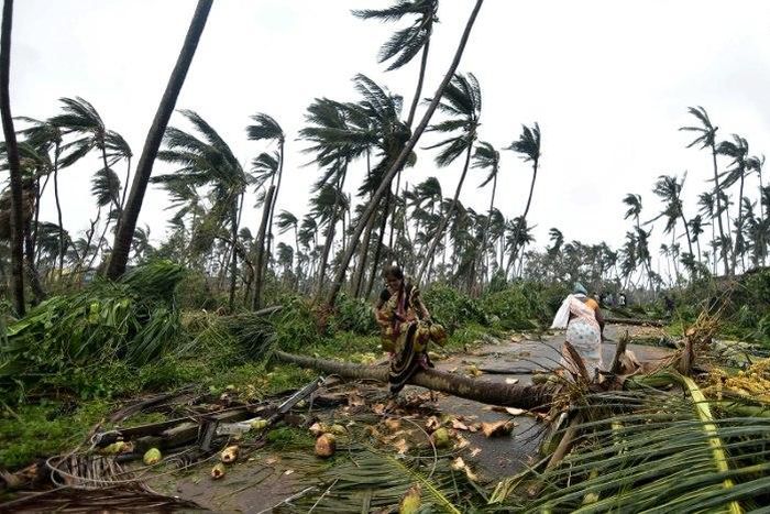 Indian women collect coconuts after heavy winds brought by Cyclone Titli, as humanitarians warned that the number of climate-related disasters around the world is growing rapidly