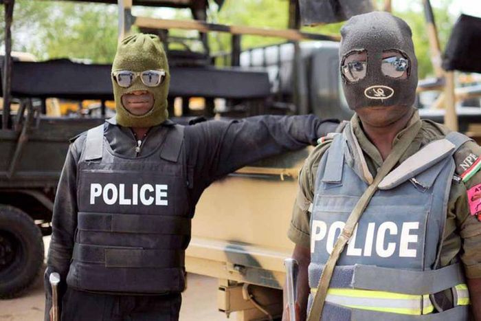 Masked police officers (illustration)