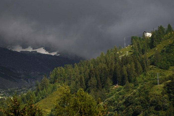 The victim was shot on Saturday evening as a hunting party beat its way through nearby woods near Montriond, according to the local prosecutor