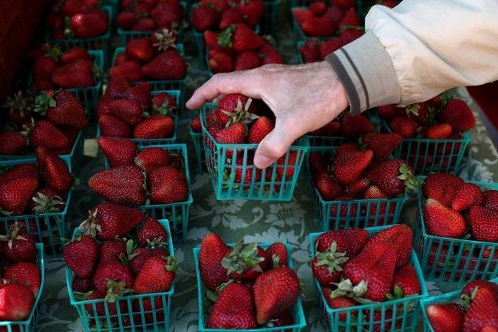 Pins and needles were found stuck into Australian strawberries in September, sparking nationwide panic.