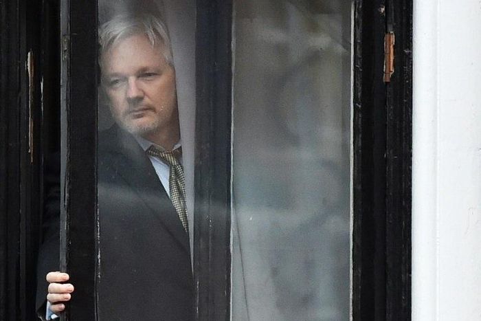 WikiLeaks founder Julian Assange seen at a window of Ecuador's embassy in London on February 5, 2016
