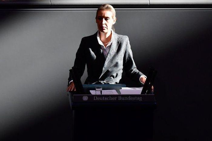 ___9127017___2018___11___21___16___21germany-afd-articleLarge