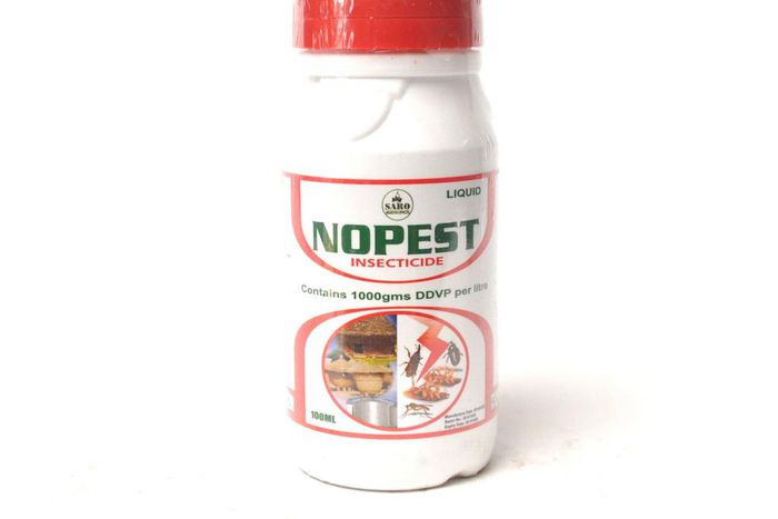 Maid confesses poisoning family meal; 1 grandmother dead, her 4 grandchildren in critical condition