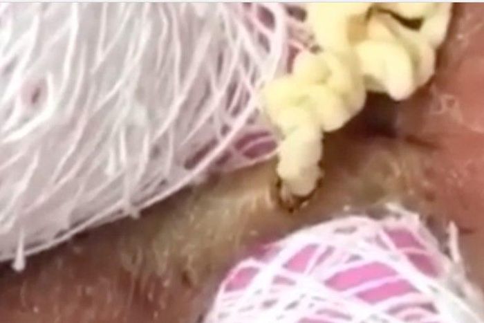 ___9203825___2018___12___16___9___screen-shot-2018-12-13-at-6-50-12-pm-1544745034