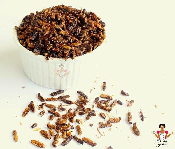 ___9126950___2018___11___21___16___termite