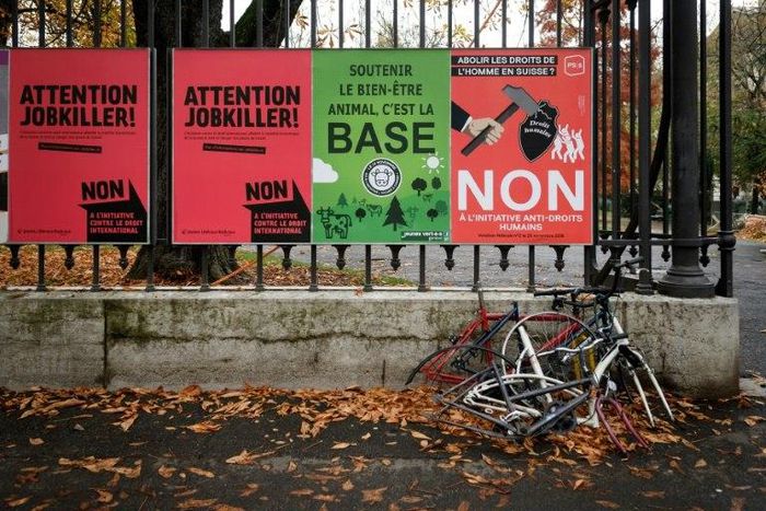 Campaign posters in Geneva draw attention to the three issues on which Swiss are called to vote -- including safeguarding cow horns