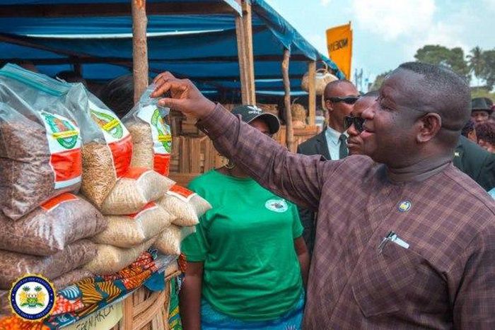 The Republic of Sierra Leone State House