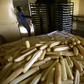 Eight people have been killed in Sudan in clashes with riot police during protests over the rising price of bread