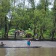 Papua declared itself independent in 1961, but neighbouring Indonesia took control of the region two years later