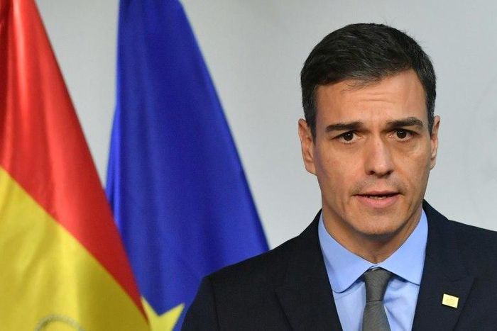 Spanish Prime Minister Pedro Sanchez (pictured November 2018) said the cabinet "will approve the budget proposal" in January 2019 and "we will then present it to parliament" later the same month