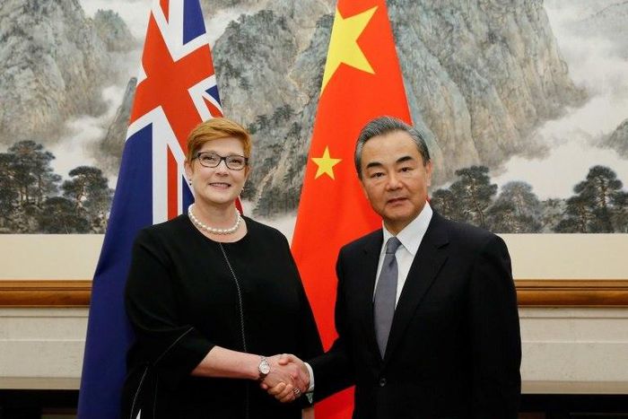 Australian Foreign Minister Marise Payne (L) says she raised the Xinjiang internment camps in talks with China's top diplomat Wang Yi (R)