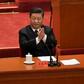 China's President Xi Jinping vowed to press ahead with economic reforms but made clear that Beijing will not deviate from its one-party system or take orders from any other country