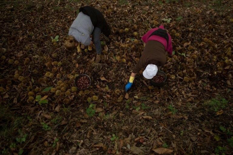 A combination of low wages and temporary contracts is keeping millions of workers below the poverty line