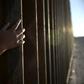 US President Donald Trump wants a wall on the Mexico border, which he claims will stem migration from Latin American countries plagued by gang violence and poverty