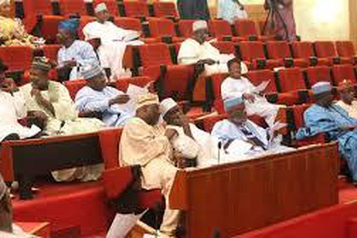 Nigerian lawmakers during plenary