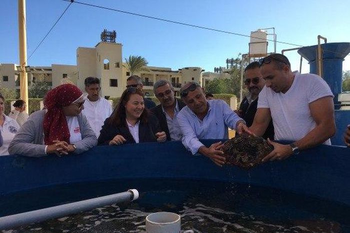 U.S. Embassy - Cairo