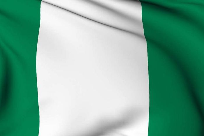 Nigerian flag