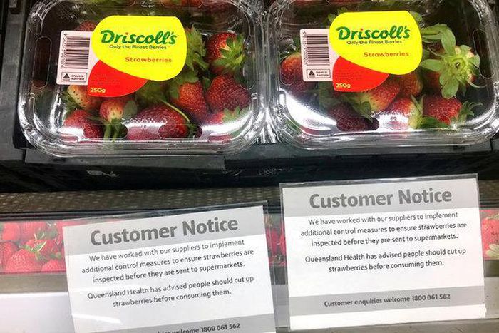 ___9095033___2018___11___12___9___130z-strawberry2-articleLarge