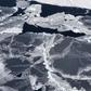 A recent study showed that parts of the Antarctic ice sheet -- which holds enough frozen water to bury every major coastal city in the world -- are melting far more quickly than thought only a few years ago