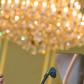 Osinbajo wants Africa-Europe synergy in utilising benefits of digital economy