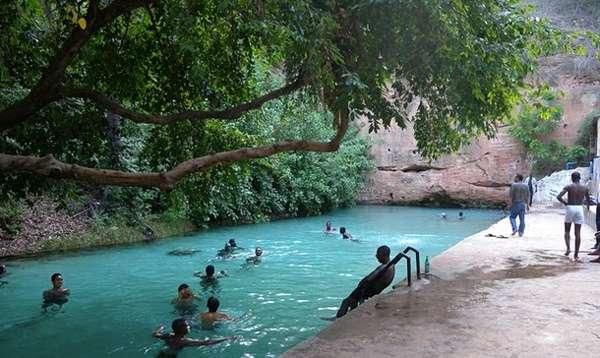 Yankari Game Reserve