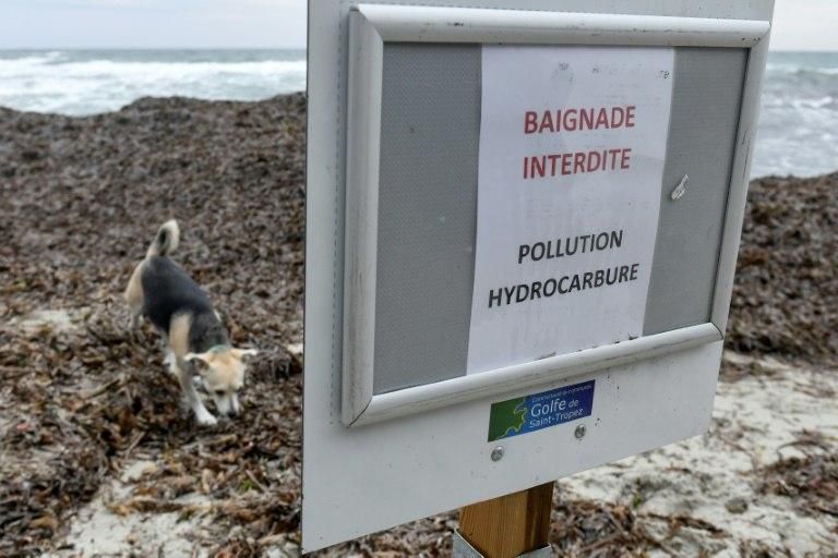 All the beaches in the Saint-Tropez area that were affected by the oil spill have been closed until the cleanup is finished