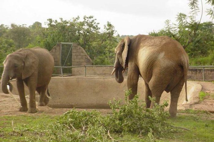 The best zoological gardens and wildlife parks in Nigeria (Hello Travel)