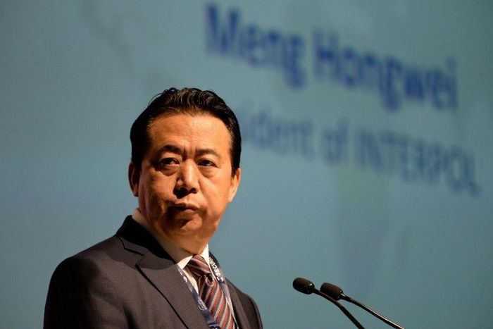 The election of Meng Hongwei as head of Interpol in 2016 was a triumph for President Xi Jinping's bid to burnish China's international profile