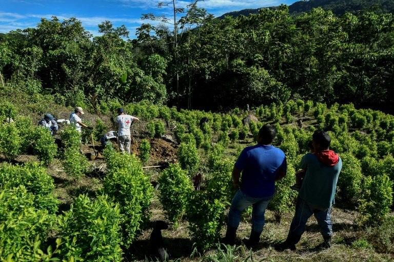 The ICRC is currently looking into 1,888 cases of missing people in Colombia, including hundreds alone in Catatumbo, in Norte de Santander, on the border with Venezuela