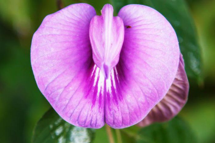 ___9033488___2018___10___27___11___gettyimages-525320311-1540568715