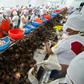 Workers clean and sort freshly harvested scallops at a processing plant in Sechura