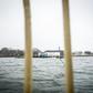 Lindholm island, where the migrants will be housed, used to house a veterinary institute researching infectious animal diseases