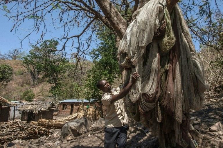 A man on Chisi Island checks his fishing nets which he hung after the lake dried