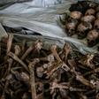 Macabre finds from the Rwandan genocide are still being uncovered today, nearly a quarter-century after the bloodshed. In April, a mass grave was found under a building in Kabuga, on the outskirts of the capital Kigali.