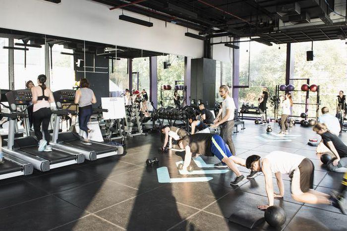 ___9178363___2018___12___7___17___group-of-people-working-out-in-gym-royalty-free-image-961177712-1544132722